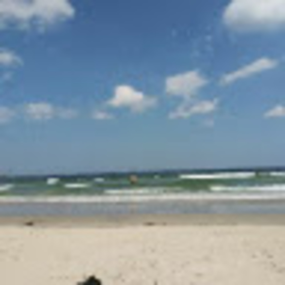 Meet your Posher, Kat